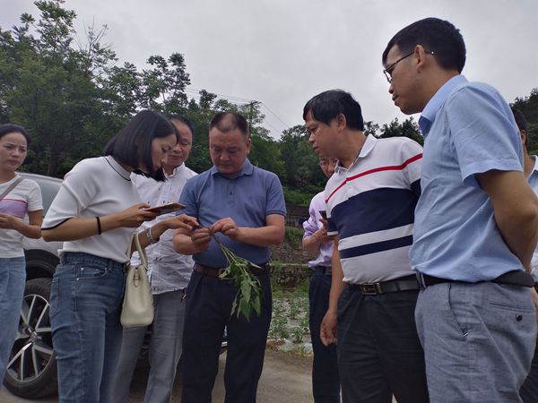 IMG_20190611_133808_副本.jpg IMG_20190611_133808_副本.jpg